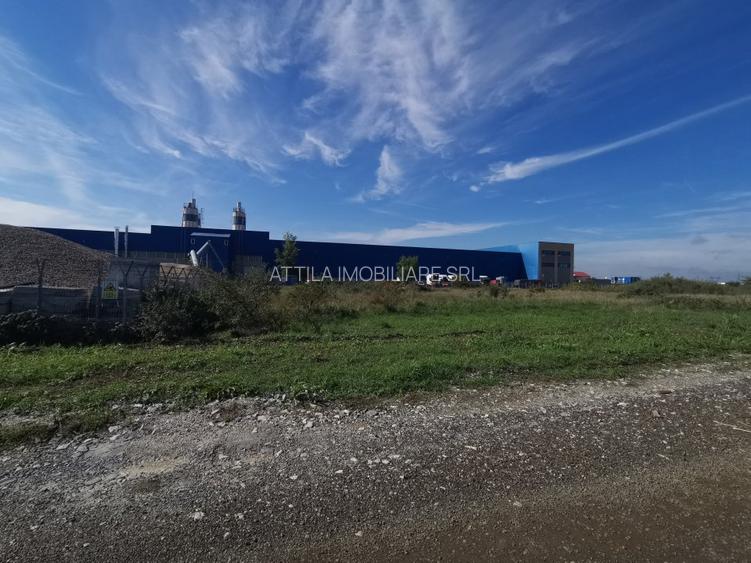 Dumbravita teren industrial 1700 mp 110000 euro - 3