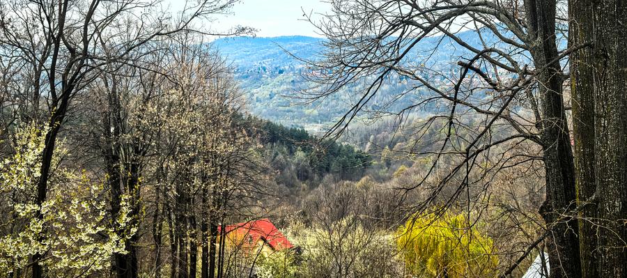 Proprietate Breaza de vis , zona de vis , prezentarea agentului , de vis