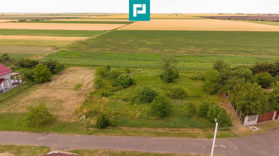 Teren intravilan de 596mp în Cicir, Vladimirescu