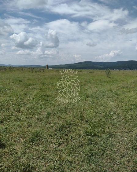 Teren 23700 mp (2,37 ha)-ideal investitie,cabana-Sesul Jelnei