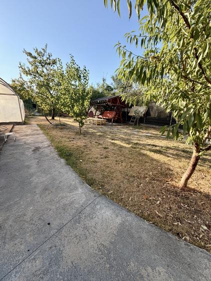 Casa individuala in vatra veche din Giarmata Mare