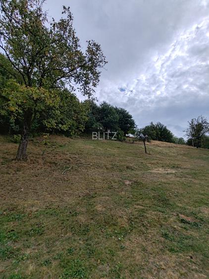 Teren de vanzare, 64 ari, zona Ulmoasa - 2