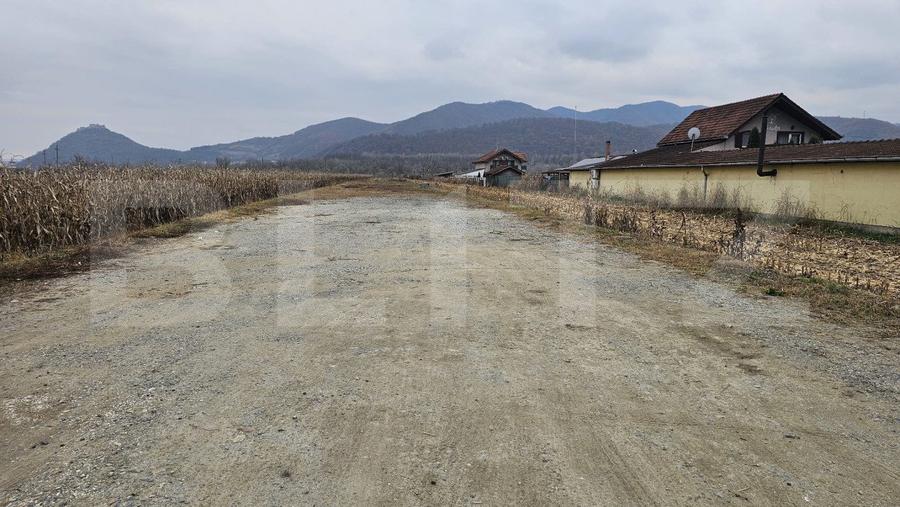 Oportunitate de Investiție de Top în Șoimuș - 2600 mp teren intravilan