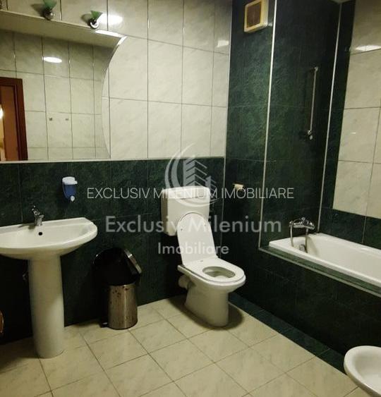 Piata Victoriei Vila / Casa Birouri - Titulescu - 3