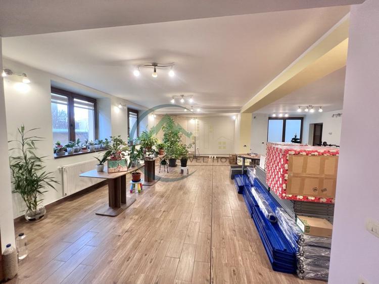 Zona comerciala si spatiu rezidential