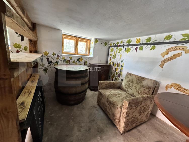 Proprietate superbă in Damieni! cu potential enorm comercial! 550mp utili-47Ari!