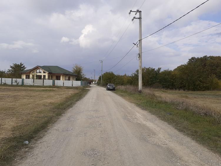 Teren intravilan inconjurat de padure, Ciofliceni, Snagov, comision 0