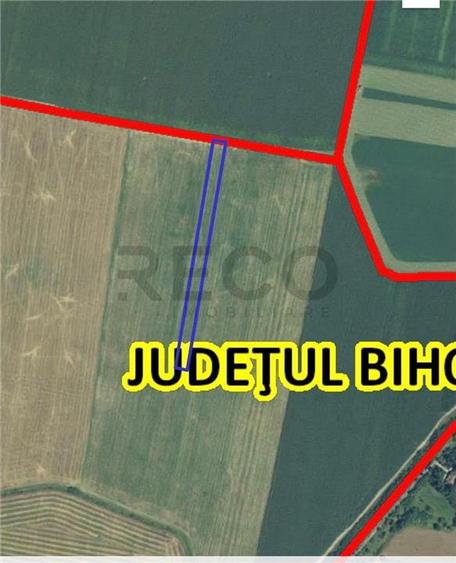 RECO Teren extravilan 5800 mp Livada de Bihor