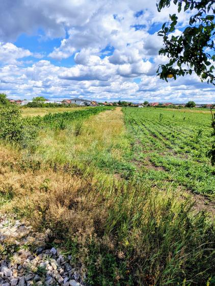 Teren intravilan, 2296 mp, zona Jucu de Mijloc
