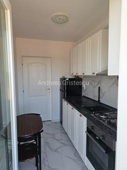 Apartament modern 1 camera Lunca Cetatuii - 3
