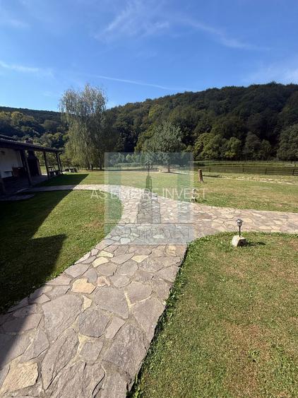 Complex Turistic activ,  2 lacuri ,teren 16800 mp -zona Valea Dobârlău - 19