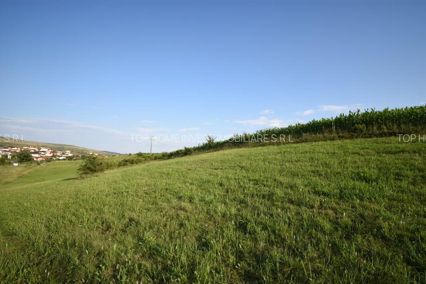 De vanzare teren intravilan, in Chinteni! - 7