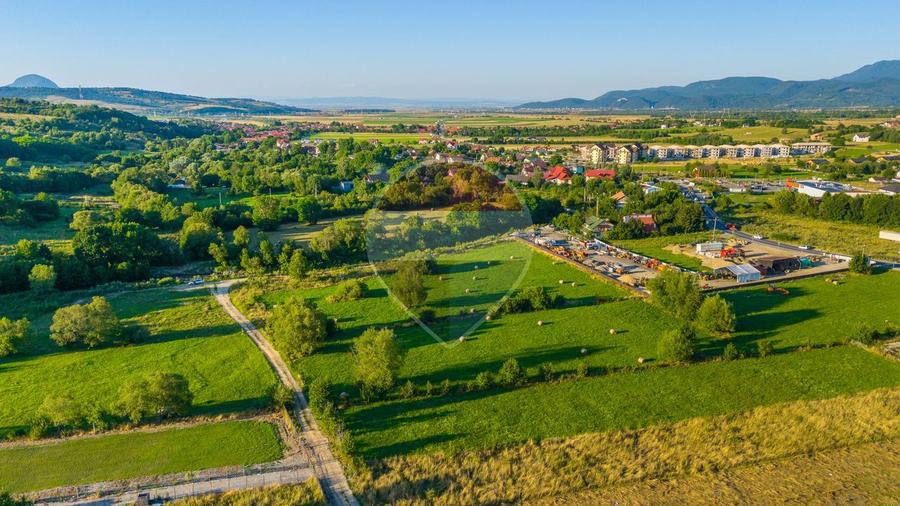 Teren intravilan 7.660 mp lângă Bran, panoramă 360°, comision 0%