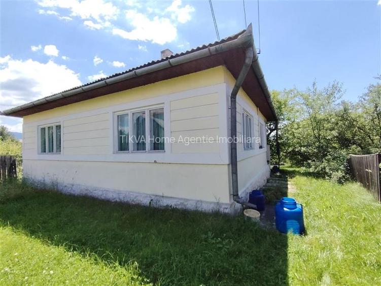 Casa de locuit (Ditrau, str. Livezii) - 2