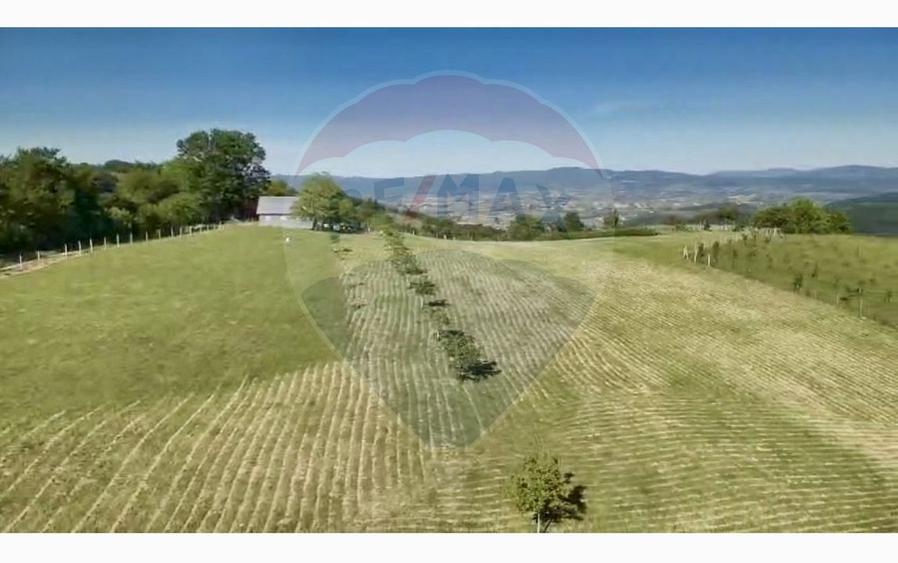 Teren 20.170mp | Livada | Suncuius, Bihor
