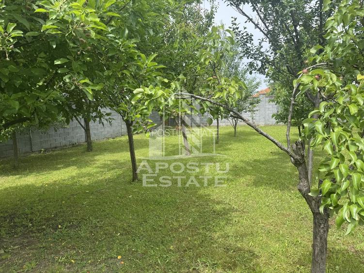 Casă unifamilială în Ghiroda cu teren generos 1752 mp - 9