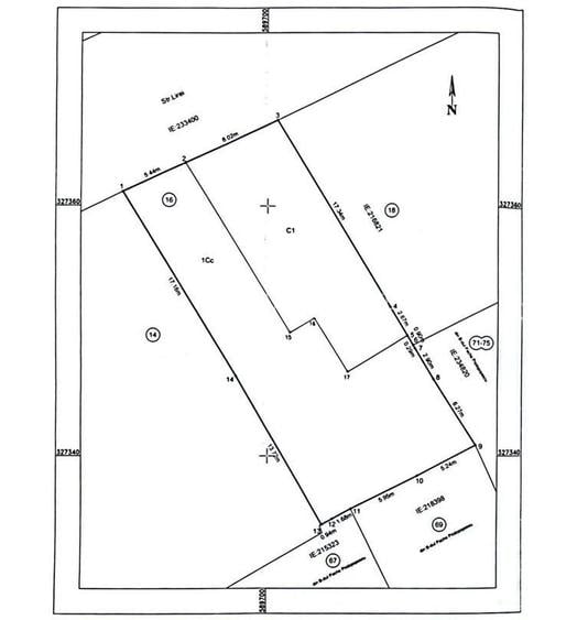 FERDINAND - Lirei | Teren 412mp| Cladire 750mp | Autorizarie valabila - 1