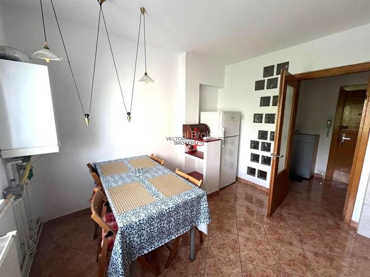 Apartament cu centrala termica, mobilat si utilat Doamna Ghica PANCOTA - 3