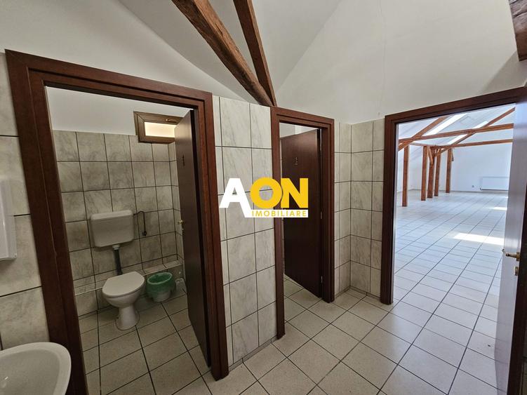 Spatiu de birouri, 220 mp utili, Centru, zona Tribunal