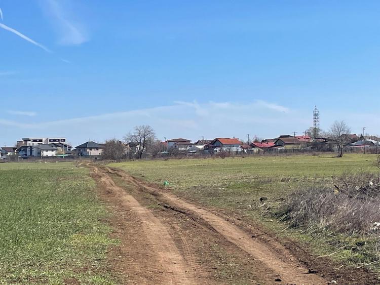 Vanzare | Teren Intravilan 5000 mp | Str. Viitorului |