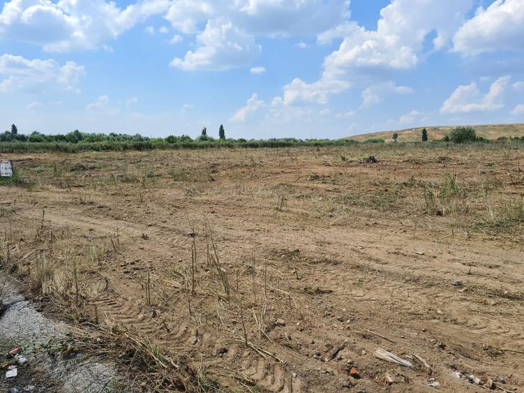 Giulesti -Chiajna , Drumul la Chiajna nr. 34 - Teren intravilan 1000 mp
