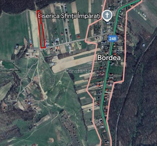 Teren extravilan 7.200 mp Bordea - Grajduri/ Oportunitate Investiție  - 4