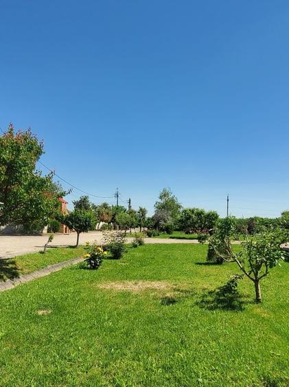 Oportunitate de investiții la km 70 Autostrada Bucuresti-Pitesti!