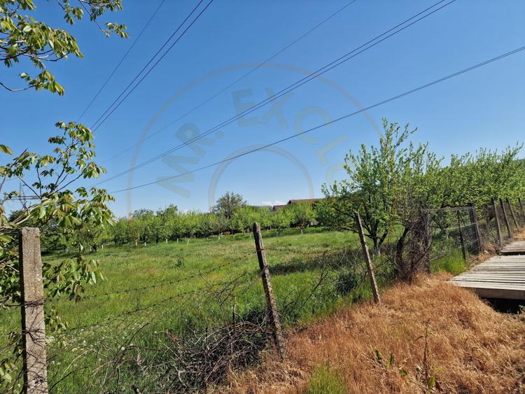 Teren Calinesti, Arges!