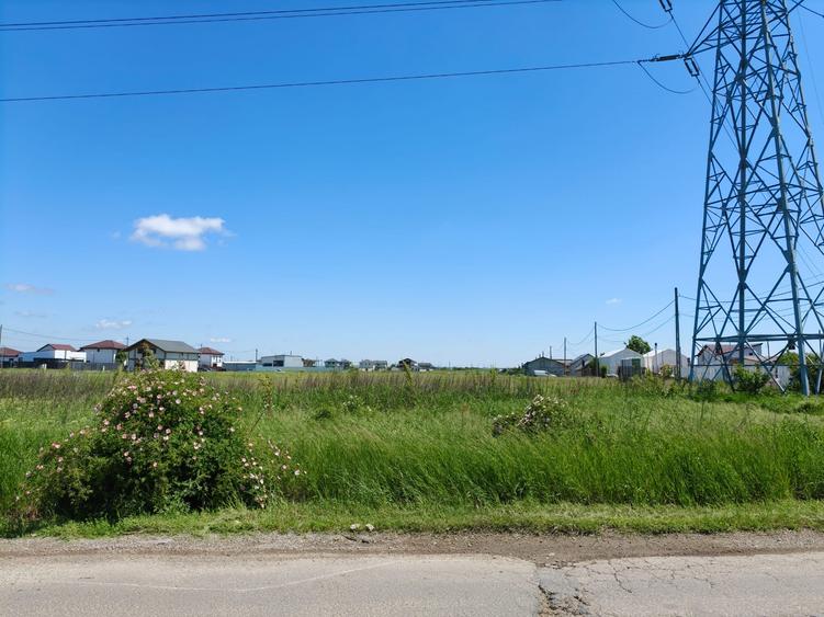 Teren intravilan 10.000 mp, Sabareni, Giurgiu | Deschidere 33 ml | Pozitie excel