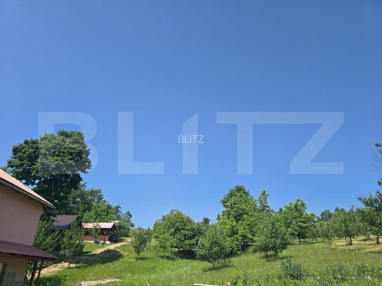 Livada de vanzare, 16.000 mp, zona Hodac