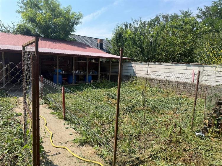 Casa din lemn masiv | 3 camere | Teren 5.000mp -Berceni Prahova