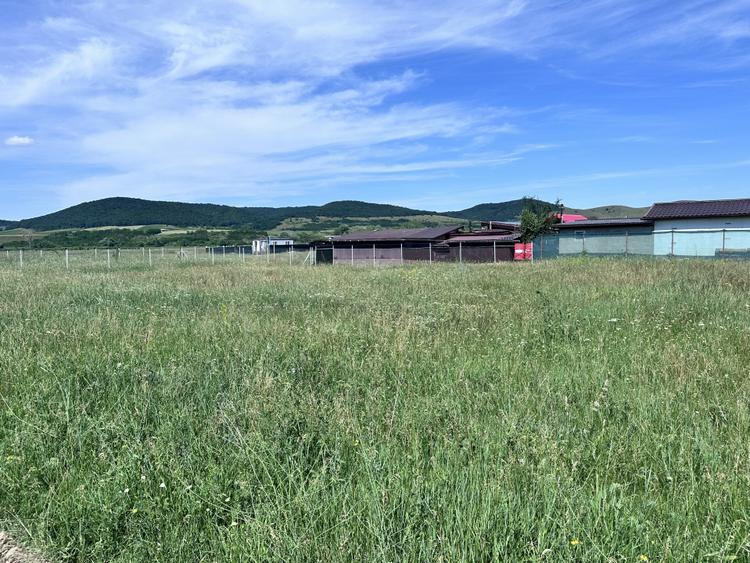 OKAZIE ! Teren INTRAVILAN I 449 mp. I Vanzare I Alba Iulia | Zona MICESTI cu PUZ