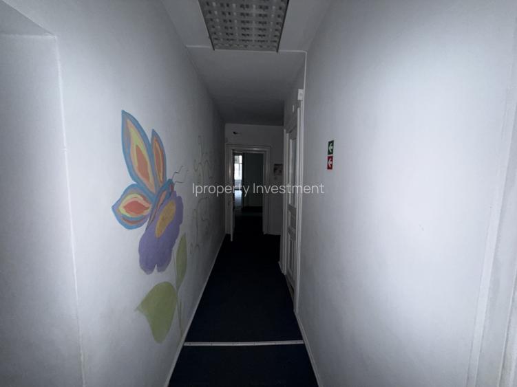 Vânzare ansamblu 2 Case 10 camere în Timpuri Noi cu curte privata - 9