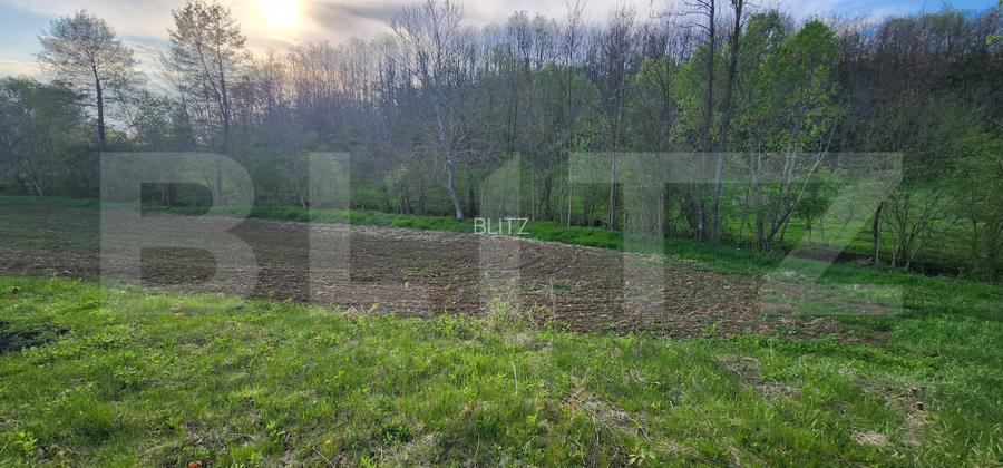 Teren 6650 mp, cu casa nefinalizata de 111 mp, in Nisipoasa. - 9