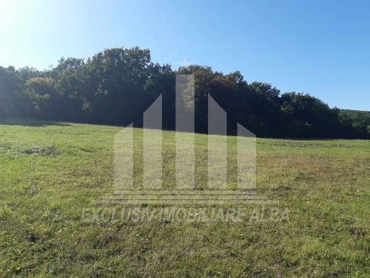 Teren intravilan | De vanzare | 791mp | 16ml deschidere | Alba-Micesti