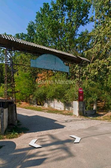 Teren Intravilan de vanzare - 3