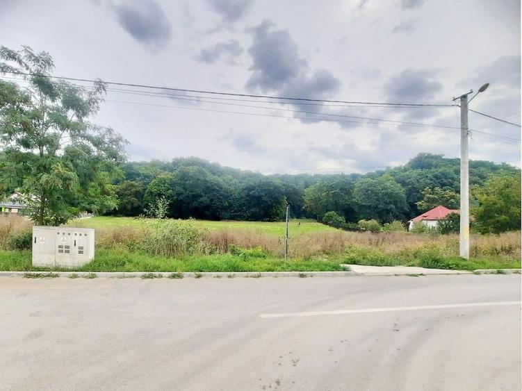 Teren superb Rasnov str Izvorului Cartierul Primaverii