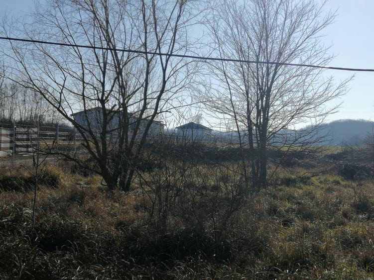 Teren intravilan Comuna Snagov , Lac Snagov