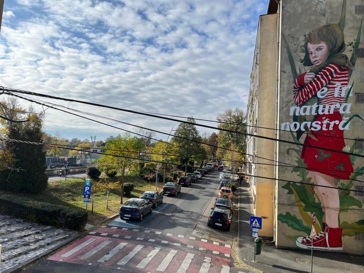 Casa in zona elitista, pe faleza Muresului, Praporgescu/IC Bratianu