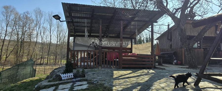 Proprietate de excepție în Lelești – la doar 8 km de Târgu Jiu - 38