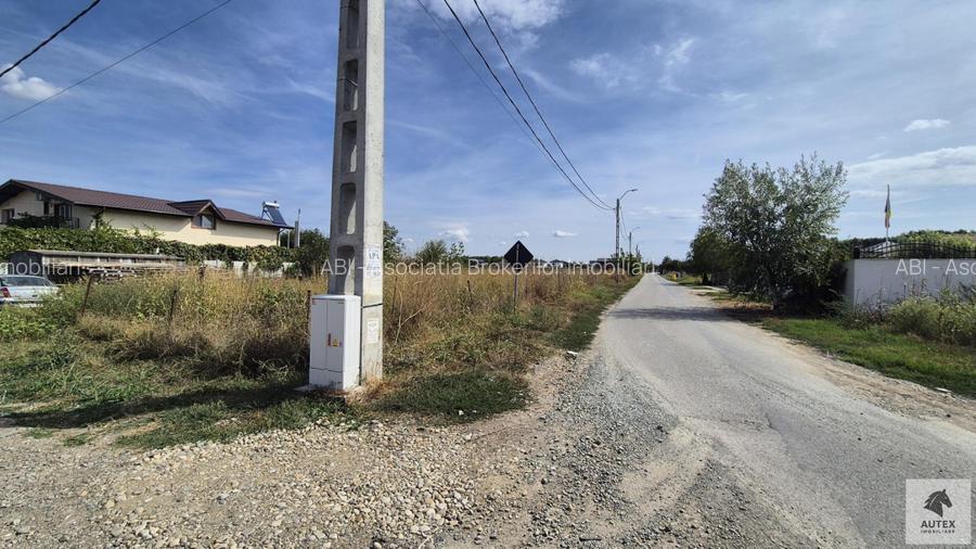 Teren casa 700 mp la Asfalt aproape de Centrul orasului Magurele - 8