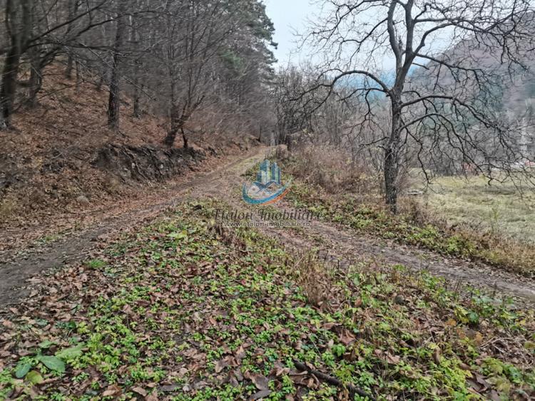 Teren Straja – Pangarati 3560 m, zona de Pensiune