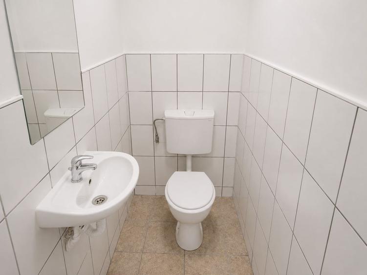 Spațiu comercial, Hale - de INCHIRIAT in Someseni