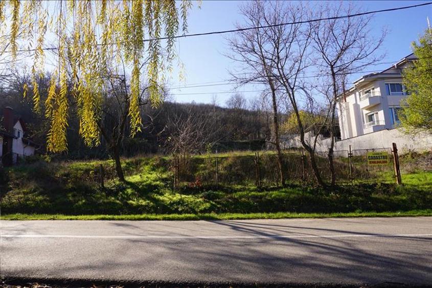 Teren de vanzare in Leamna de Jos