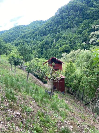 Casa de vacanta cu 4 camere, 1470 mp teren, Sugag