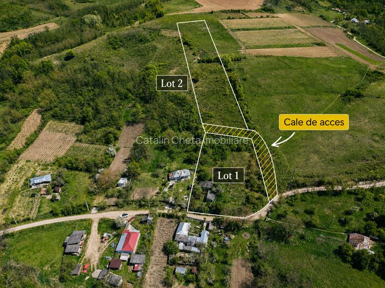 Teren de vanzare + casa in Gorghesti, Bacau – 7.391 mp, zona linistita de deal - 2