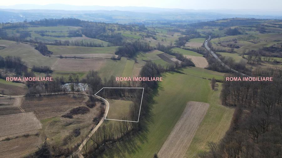 Teren superb de vânzare în Dumbrăvița – 3.750 mp