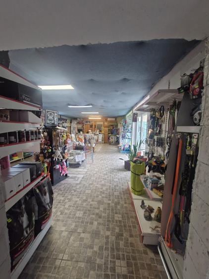Spatiu comercial 150 mp de inchiriat in Buftea