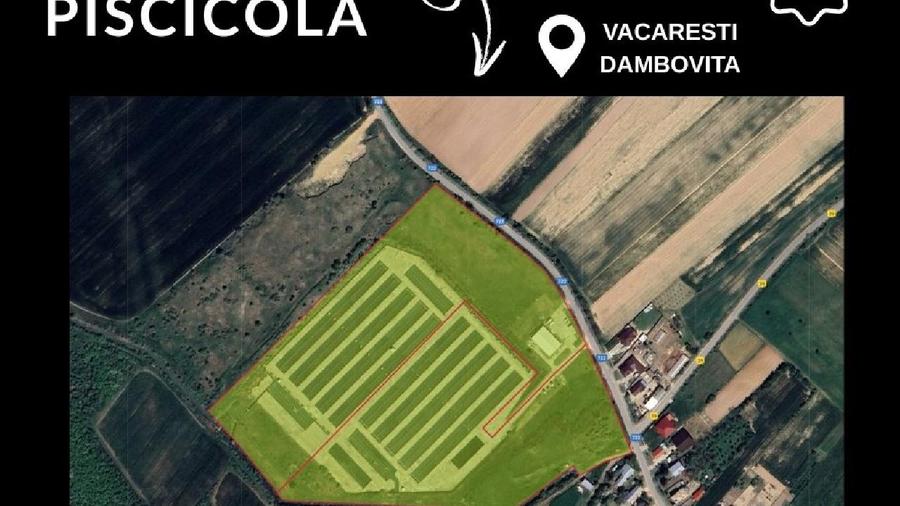 FERMA PISCICOLA ~ Vacaresti ~ Dâmbovița
