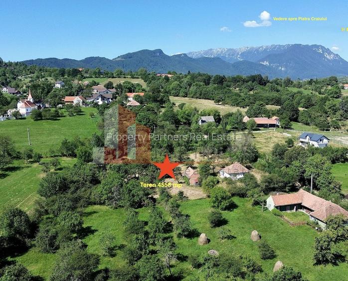 Teren 4558 mp cu casă tradițională, Sohodol, Bran - 4